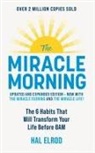 Hal Elrod - The Miracle Morning