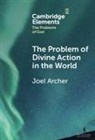 Joel Archer, Joel (Duke University) Archer - Problem of Divine Action in the World
