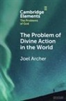 Joel Archer, Joel (Duke University) Archer - Problem of Divine Action in the World