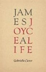Gabrielle Carey - James Joyce