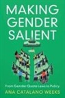 Ana Catalano Weeks - Making Gender Salient
