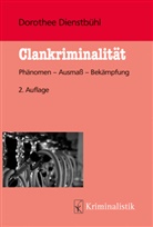 Dorothee Dienstbühl - Clankriminalität