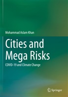 Mohammad Aslam Khan - Cities and Mega Risks