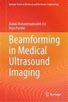 Babak Mohammadzadeh Asl, Roya Paridar - Beamforming in Medical Ultrasound Imaging