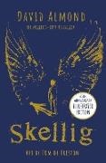 David Almond,  Almond David, Tom de Freston, Tom de Freston - Skellig: the 25th anniversary illustrated edition