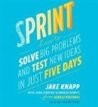 Jake Knapp, Jake/ Zeratsky Knapp, Braden Kowitz, John Zeratsky - Sprint (Audio book)