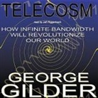 George Gilder, Jeff Riggenbach - Telecosm (Hörbuch)