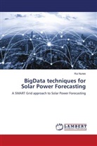 Rui Nunes - BigData techniques for Solar Power Forecasting