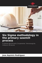 Jose Aquimix Rodriguez - Six Sigma methodology in the primary sawmill process
