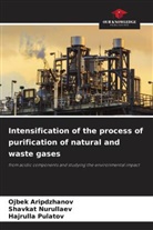 Ojbek Aripdzhanov, Shavkat Nurullaev, Hajrulla Pulatov - Intensification of the process of purification of natural and waste gases