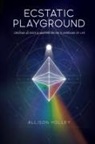 Allison Holley - Ecstatic Playground