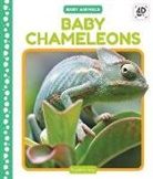 Julie Murray - Baby Chameleons
