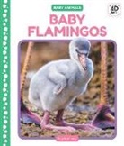 Julie Murray - Baby Flamingos