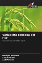 Narayan Neupane, Atit Parajuli, Ankur Poudel - Variabilità genetica del riso