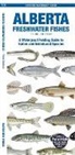 Matthew Morris, Sean Rogers - Alberta Freshwater Fishes