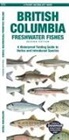 Matthew Morris - British Columbia Freshwater Fishes
