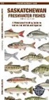 Matthew Morris, Christopher Sommers - Saskatchewan Freshwater Fishes