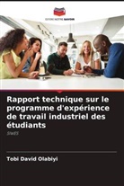Tobi David Olabiyi - Rapport technique sur le programme d'expérience de travail industriel des étudiants