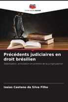 Izaias Caetano da Silva Filho - Précédents judiciaires en droit brésilien