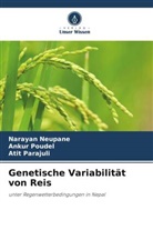 Narayan Neupane, Atit Parajuli, Ankur Poudel - Genetische Variabilität von Reis