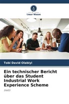 Tobi David Olabiyi - Ein technischer Bericht über das Student Industrial Work Experience Scheme