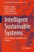 Dharm Singh Jat, Amit Joshi, Durgesh Mishra, Durgesh Mishra et al, Atulya K Nagar, Atulya K. Nagar... - Intelligent Sustainable Systems