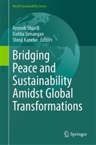 Shinji Kaneko, Ayyoob Sharifi, Dahlia Simangan - Bridging Peace and Sustainability Amidst Global Transformations