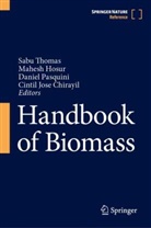 Mahesh Hosur, Cintil Jose Chirayil, Daniel Pasquini, Sabu Thomas - Handbook of Biomass