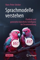 Stricker, Hans-Peter Stricker - Sprachmodelle verstehen