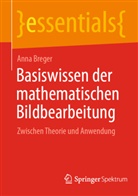 Anna Breger - Basiswissen der mathematischen Bildbearbeitung