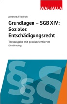 Johannes Friedrich - Grundlagen SGB XIV - Soziales Entschädigungsrecht