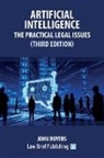 John Buyers - Artificial Intelligence - The Practical Legal Issues (Third Edition)