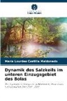 María Lourdes Castilla Maldonado - Dynamik des Salzkeils im unteren Einzugsgebiet des Bolas