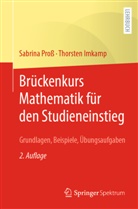 Thorsten Imkamp, Sabrina Proß - Brückenkurs Mathematik für den Studieneinstieg