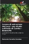 Raimundo Carvalho Sócrates - Lavoro di estrazione dell'açaí: uno studio sull'isola di Combú - Belém/PA