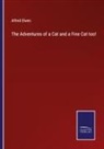 Alfred Elwes - The Adventures of a Cat and a Fine Cat too!