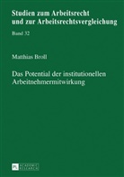 Matthias Broll, Manfred Weiss - Das Potential der institutionellen Arbeitnehmermitwirkung
