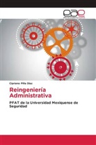 Cipriano Piña Díaz - Reingeniería Administrativa