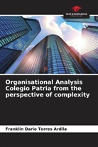 Franklin Darío Torres Ardila - Organisational Analysis Colegio Patria from the perspective of complexity