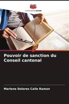 Marlene Dolores Calle Ramon - Pouvoir de sanction du Conseil cantonal