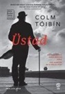 Colm Toibin - Üstad