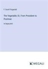 F. Scott Fitzgerald - The Vegetable; Or, From President to Postman