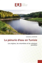 Seifeddine Lakhdhar - La pénurie d'eau en Tunisie