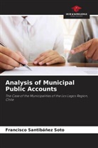 Francisco Santibáñez Soto - Analysis of Municipal Public Accounts