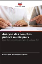 Francisco Santibáñez Soto - Analyse des comptes publics municipaux