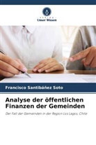 Francisco Santibáñez Soto - Analyse der öffentlichen Finanzen der Gemeinden