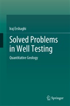 Iraj Ershaghi - Solved Problems in Well Testing