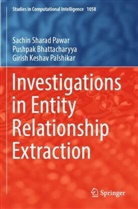 Pushpak Bhattacharyya, Palshi, Girish Keshav Palshikar, Sachin Sharad Pawar - Investigations in Entity Relationship Extraction