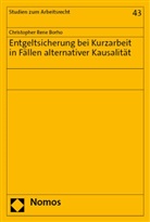 Christopher Rene Borho - Entgeltsicherung bei Kurzarbeit in Fällen alternativer Kausalität