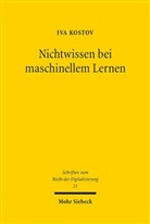 Iva Kostov - Nichtwissen bei maschinellem Lernen